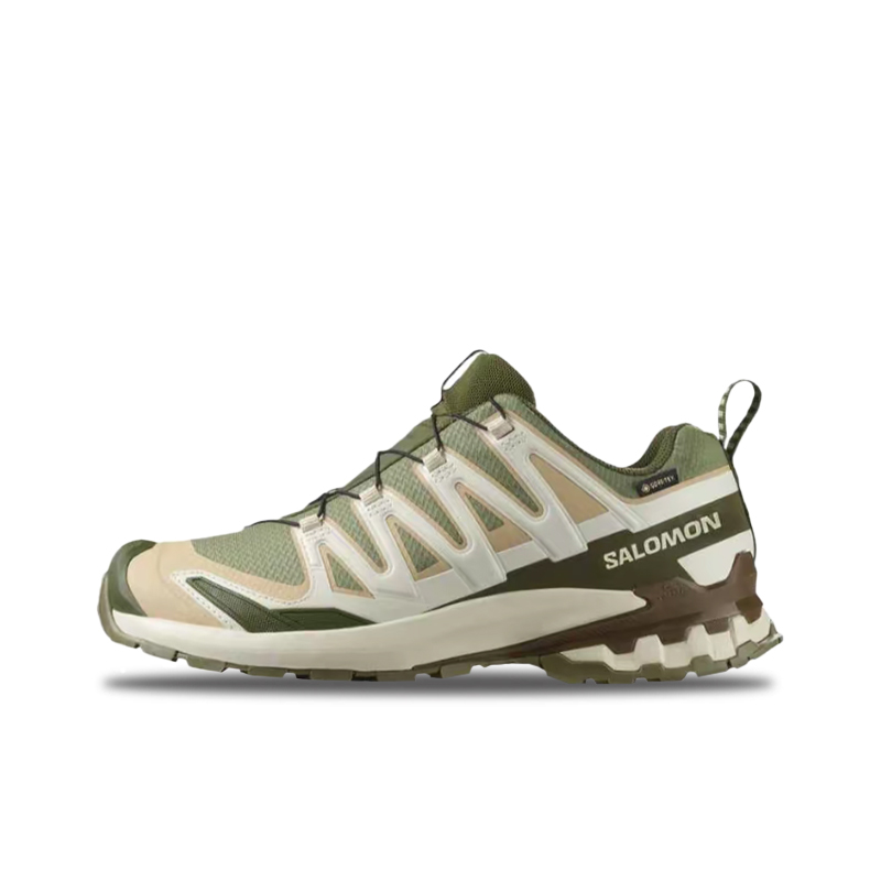 Salomon XA Pro 3D V9 GTX Herre – Salomon Shoes Xa Pro 3D Bewertung und Preis