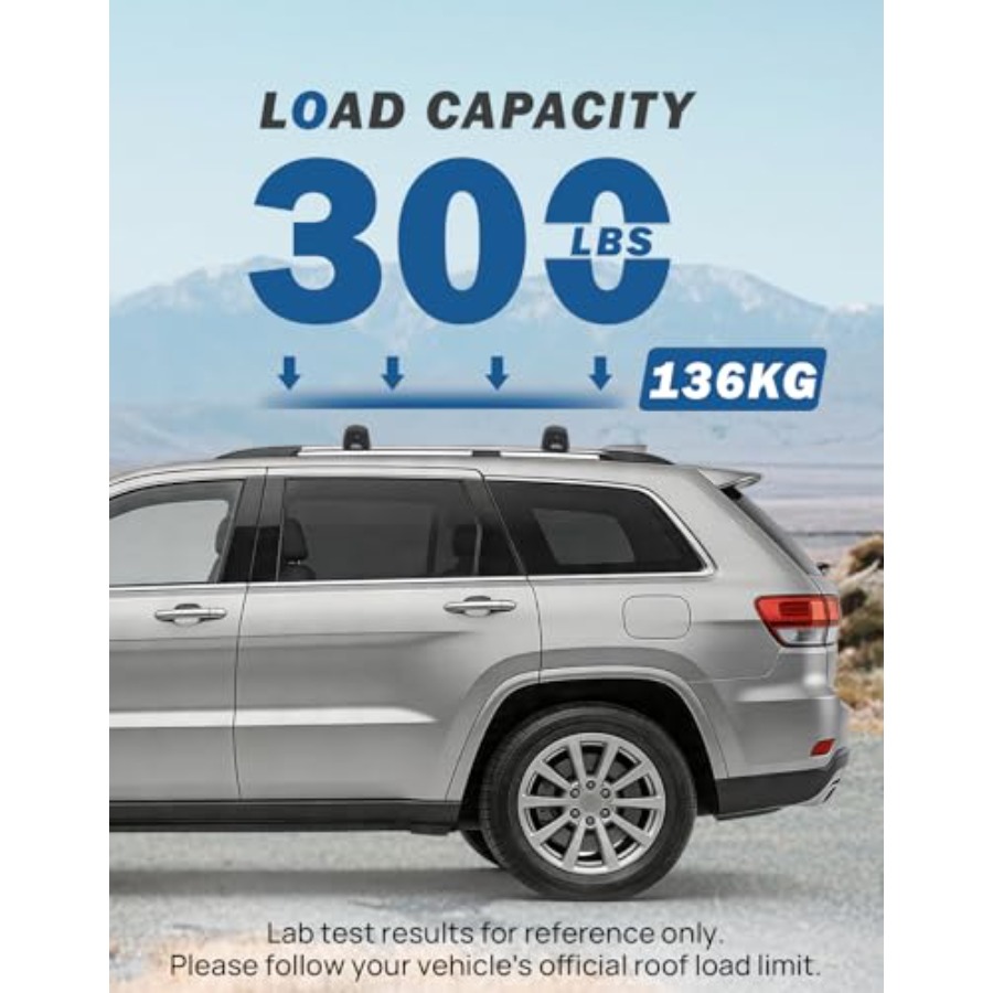 Dachträger-Querträger und WL 3 – Cargo Rack Aluminum Bewertung und Preis